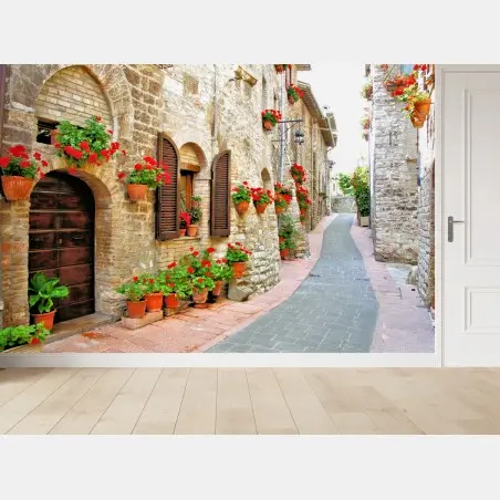 Fotomural callejón florido en pueblo rústico – Pixers®