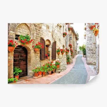 Fotomural callejón florido en pueblo rústico – Pixers®