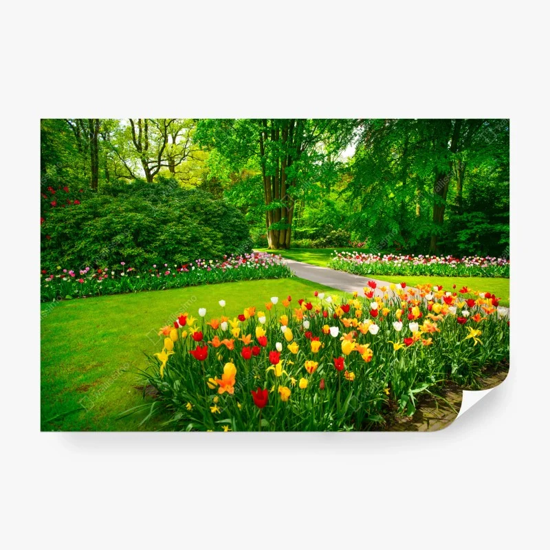 Fotomural jardín de tulipanes en Keukenhof