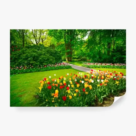 Fotomural jardín de tulipanes en Keukenhof – Pixers®