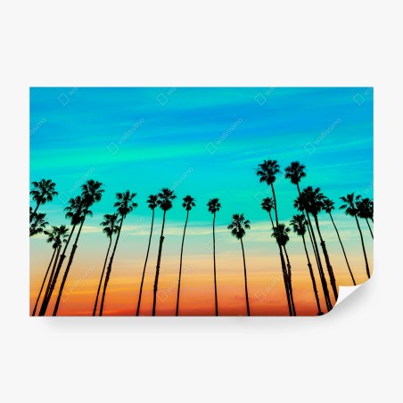 Fotomural atardecer en Santa Barbara con palmeras – Pixers®