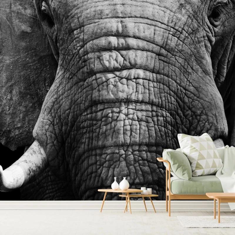 Fotomural elefante majestuoso en blanco y negro