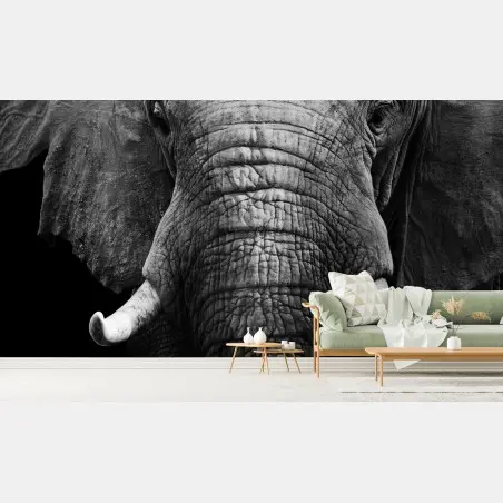 Fotomural elefante majestuoso en blanco y negro – Pixers®