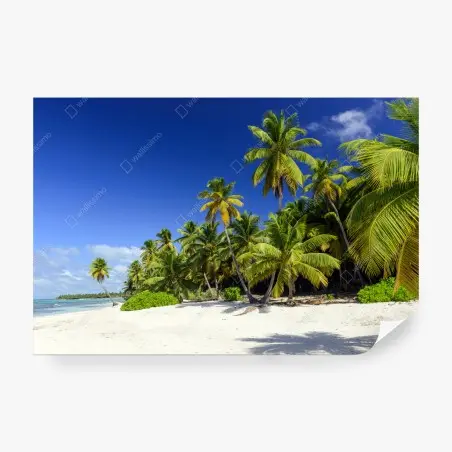 Fotomural paraíso caribeño en Punta Cana – Pixers®