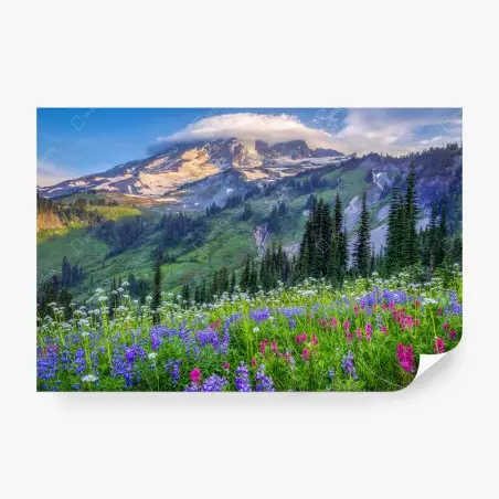 Fotomural paisaje alpino de flores silvestres al atardecer – Pixers®