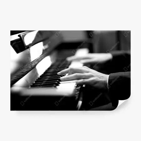 Fotomural manos al piano en blanco y negro – Pixers®