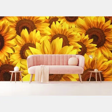 Fotomural explosión de girasoles vibrantes – Pixers®