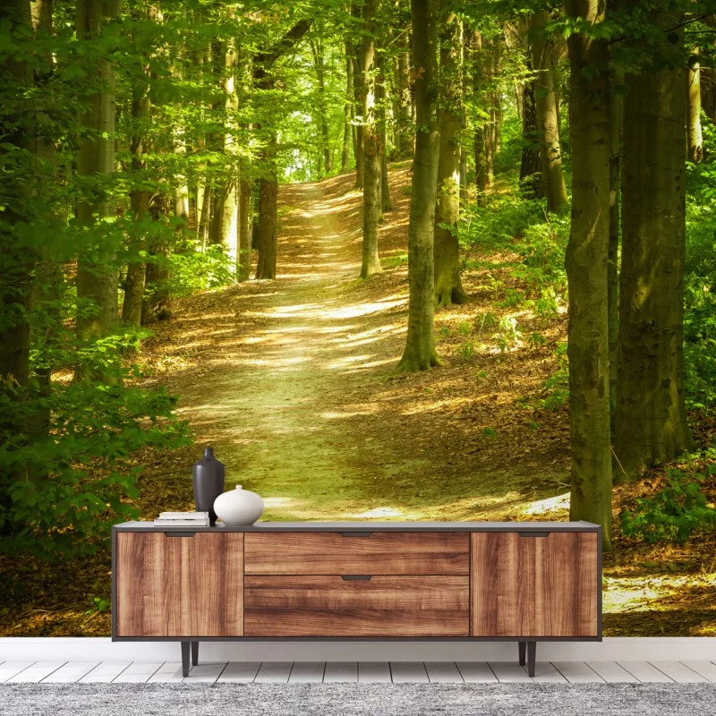 Fotomural sendero luminoso en el bosque – Pixers®