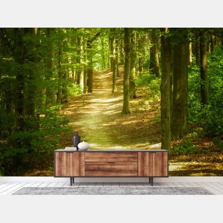 Fotomural sendero luminoso en el bosque – Pixers®