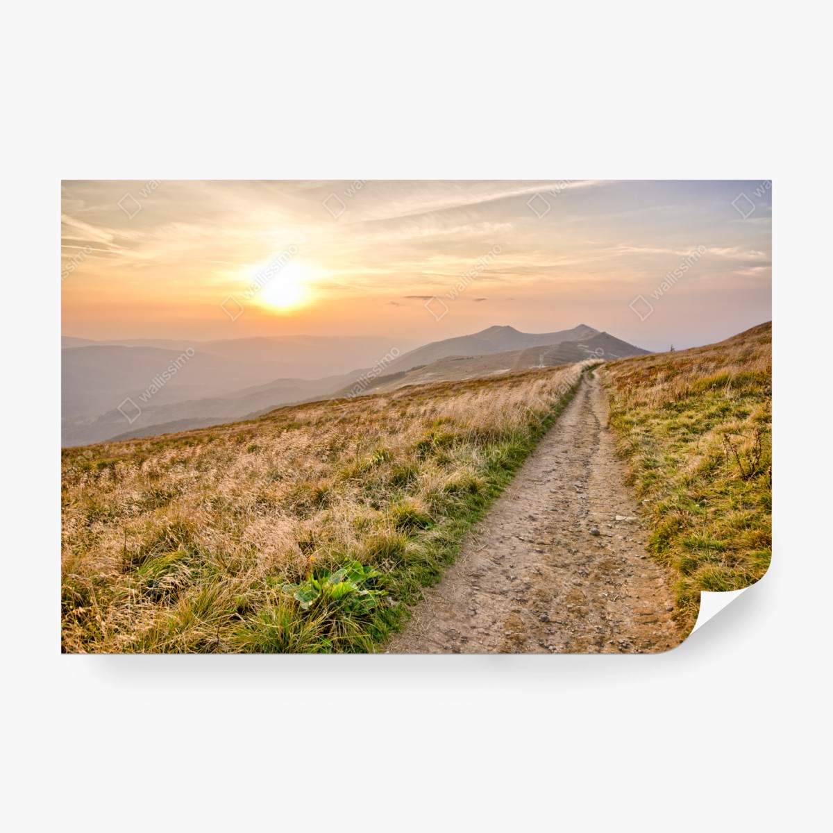 Fotomural atardecer dorado en Bieszczady, camino entre montañas – Pixers®