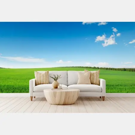 Fotomural paisaje sereno de pradera verde y cielo azul – Pixers®