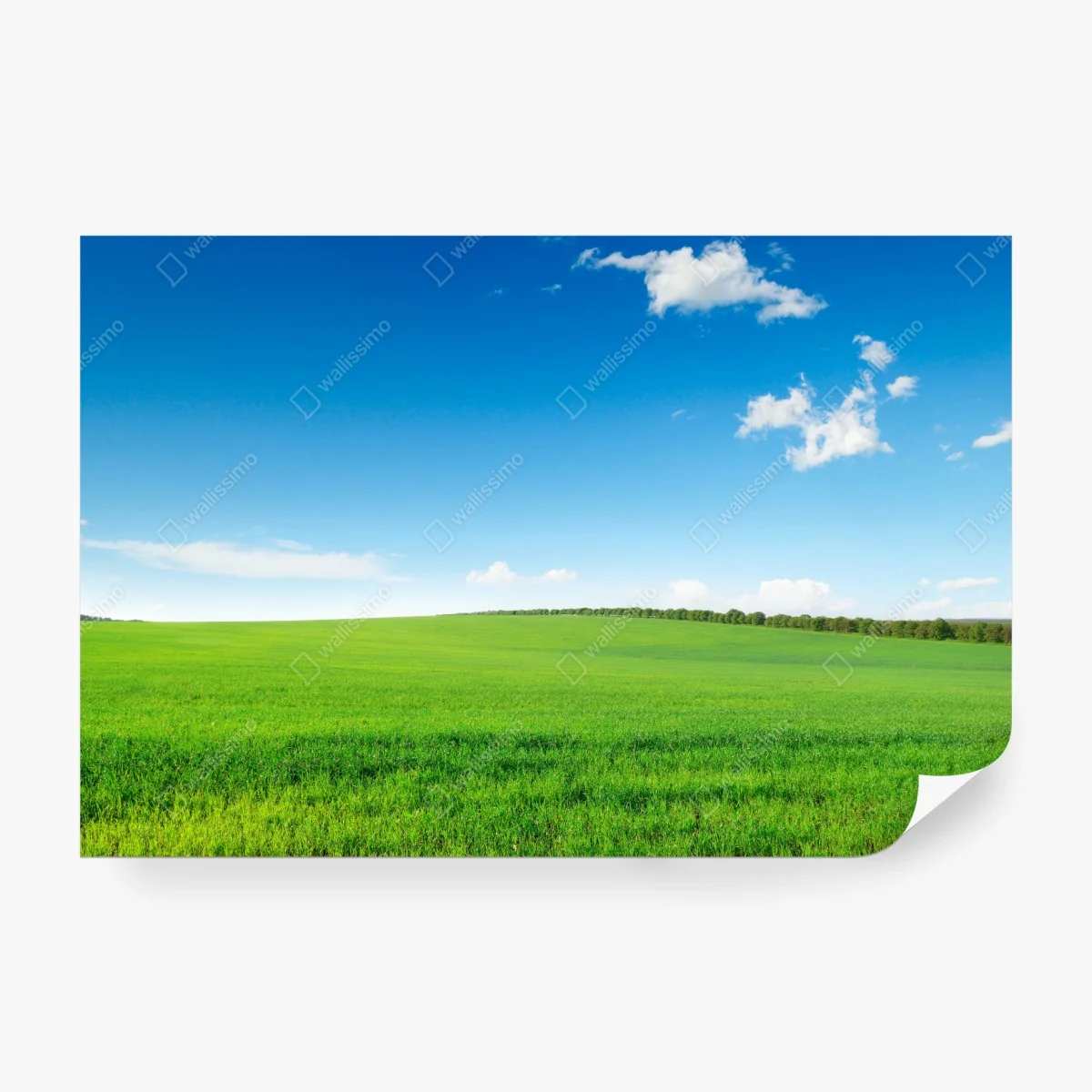 Fotomural paisaje sereno de pradera verde y cielo azul – Pixers® Fotomural paisaje sereno de pradera verde y cielo azul – Pixers®