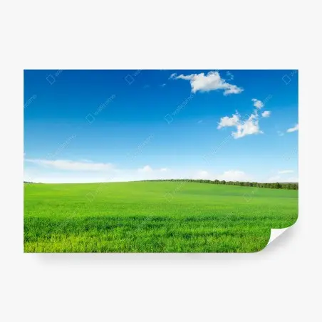 Fotomural paisaje sereno de pradera verde y cielo azul – Pixers®