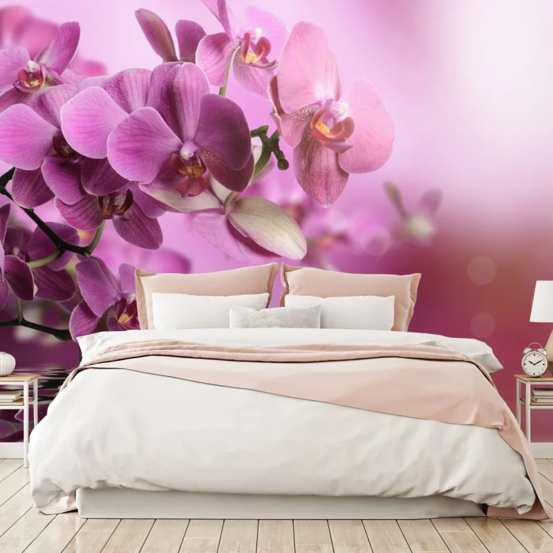 Fotomural orquídeas rosadas en reflejo acuático