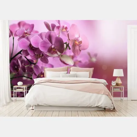 Fotomural orquídeas rosadas en reflejo acuático – Pixers®