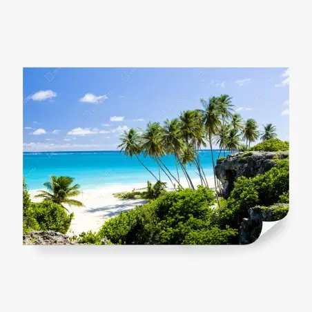 Fotomural bahía paradisíaca en Bottom Bay, Barbados – Pixers®
