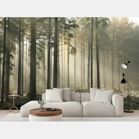 Fotomural bosque brumoso al amanecer – Pixers®