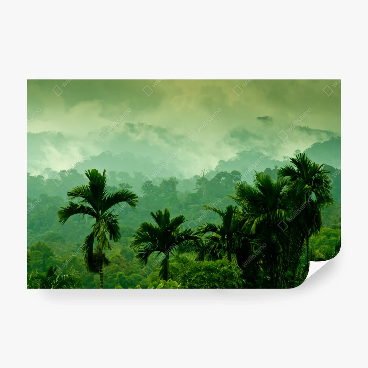 Fotomural bruma sobre la selva tropical – Pixers®