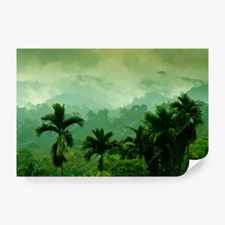 Fotomural bruma sobre la selva tropical – Pixers®
