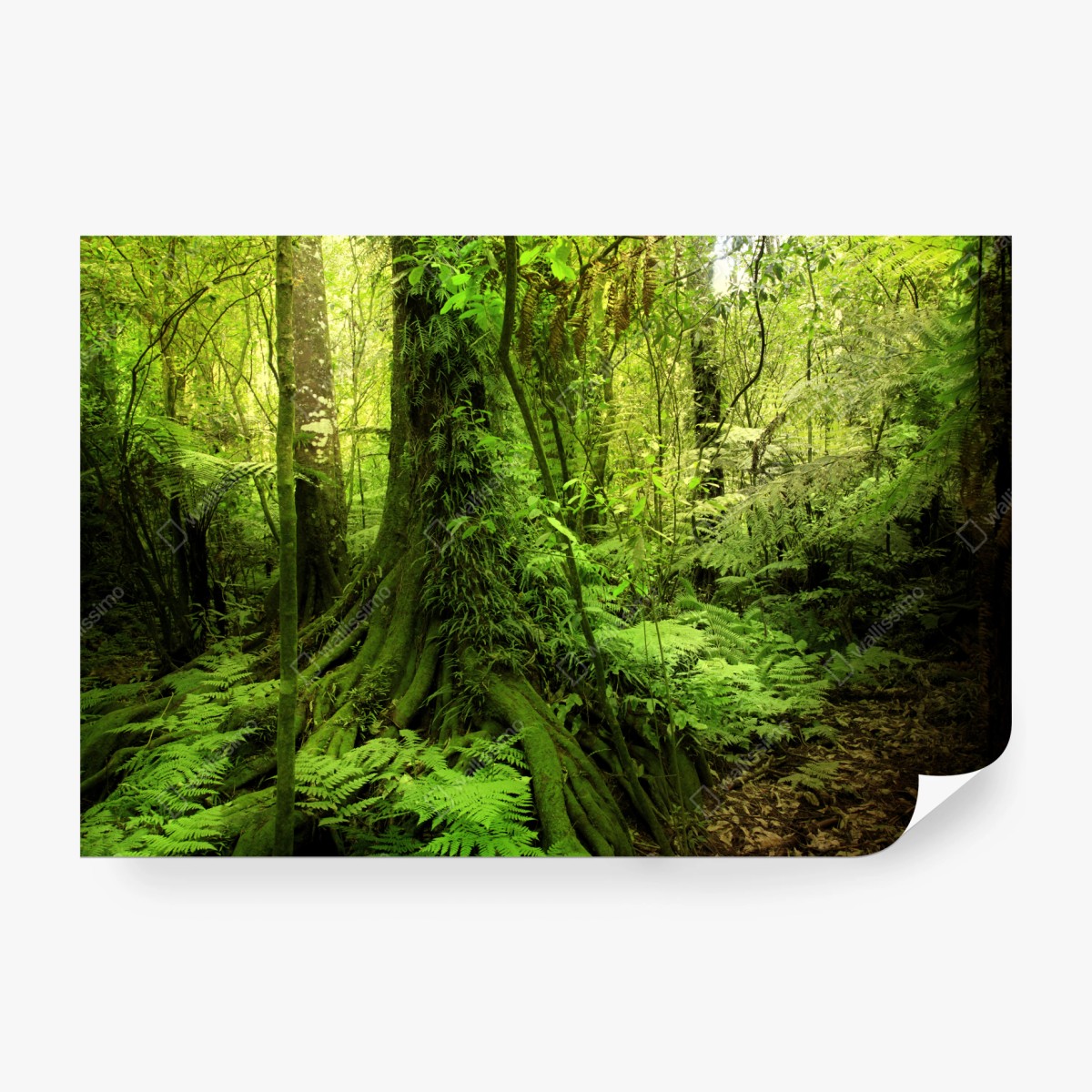 Fotomural selva esmeralda: paisaje verde exuberante – Pixers®