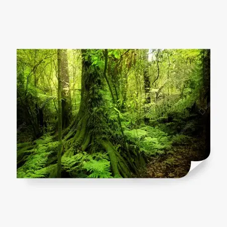 Fotomural selva esmeralda: paisaje verde exuberante – Pixers®