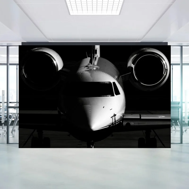 Fotomural avión privado en primer plano en blanco y negro