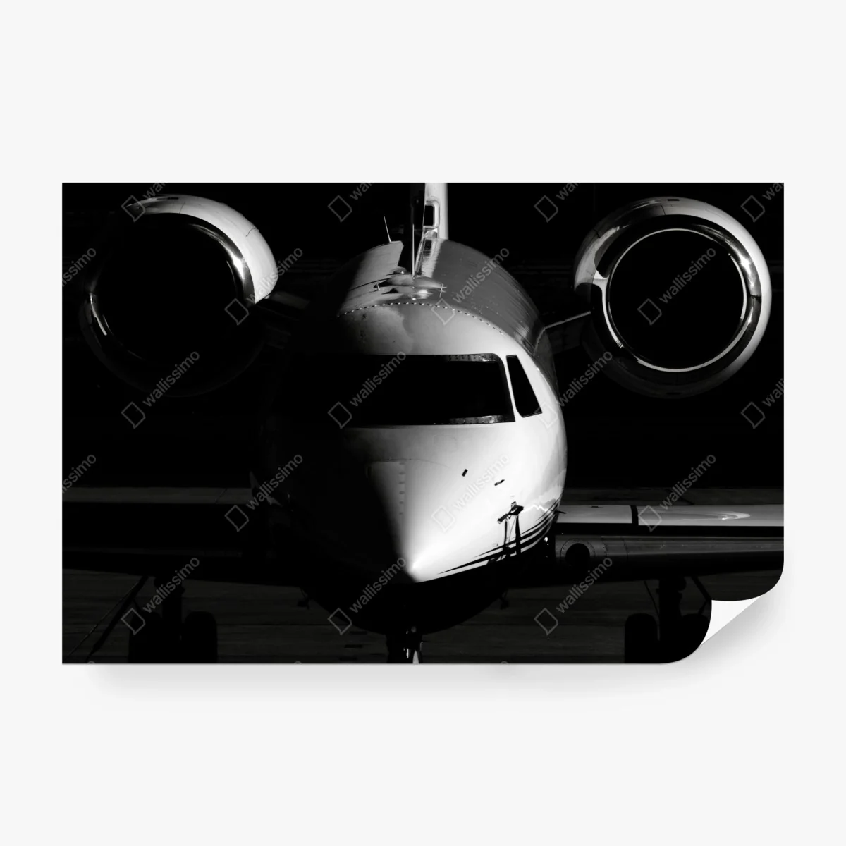Fotomural avión privado en primer plano en blanco y negro – Pixers®