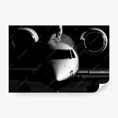 Fotomural avión privado en primer plano en blanco y negro – Pixers®