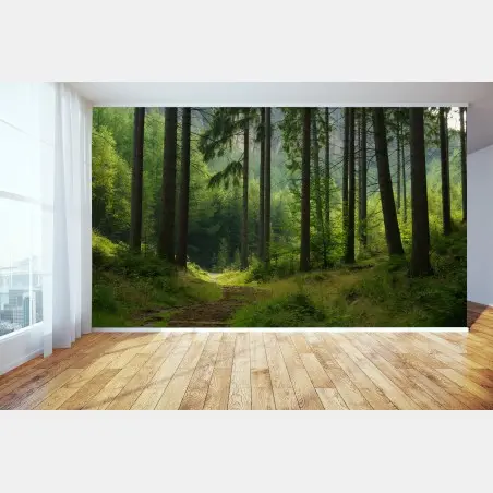 Fotomural sendero en bosque de pinos – Pixers®