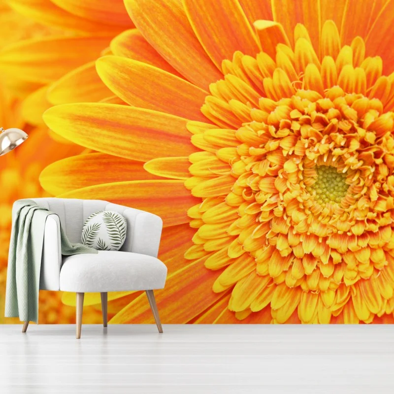 Fotomural vibrante gerbera naranja en primer plano