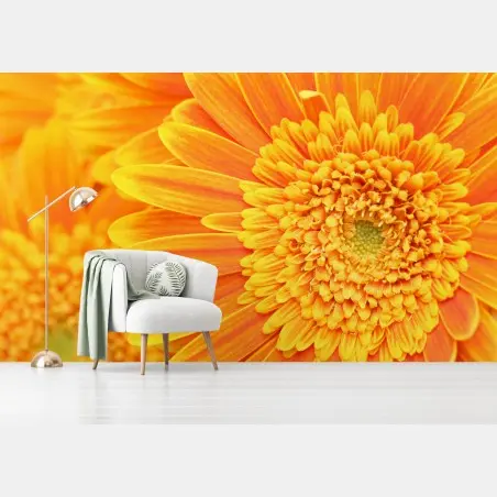 Fotomural vibrante gerbera naranja en primer plano – Pixers®