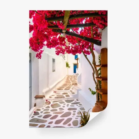Fotomural calle mediterránea con buganvillas rosas – Pixers®