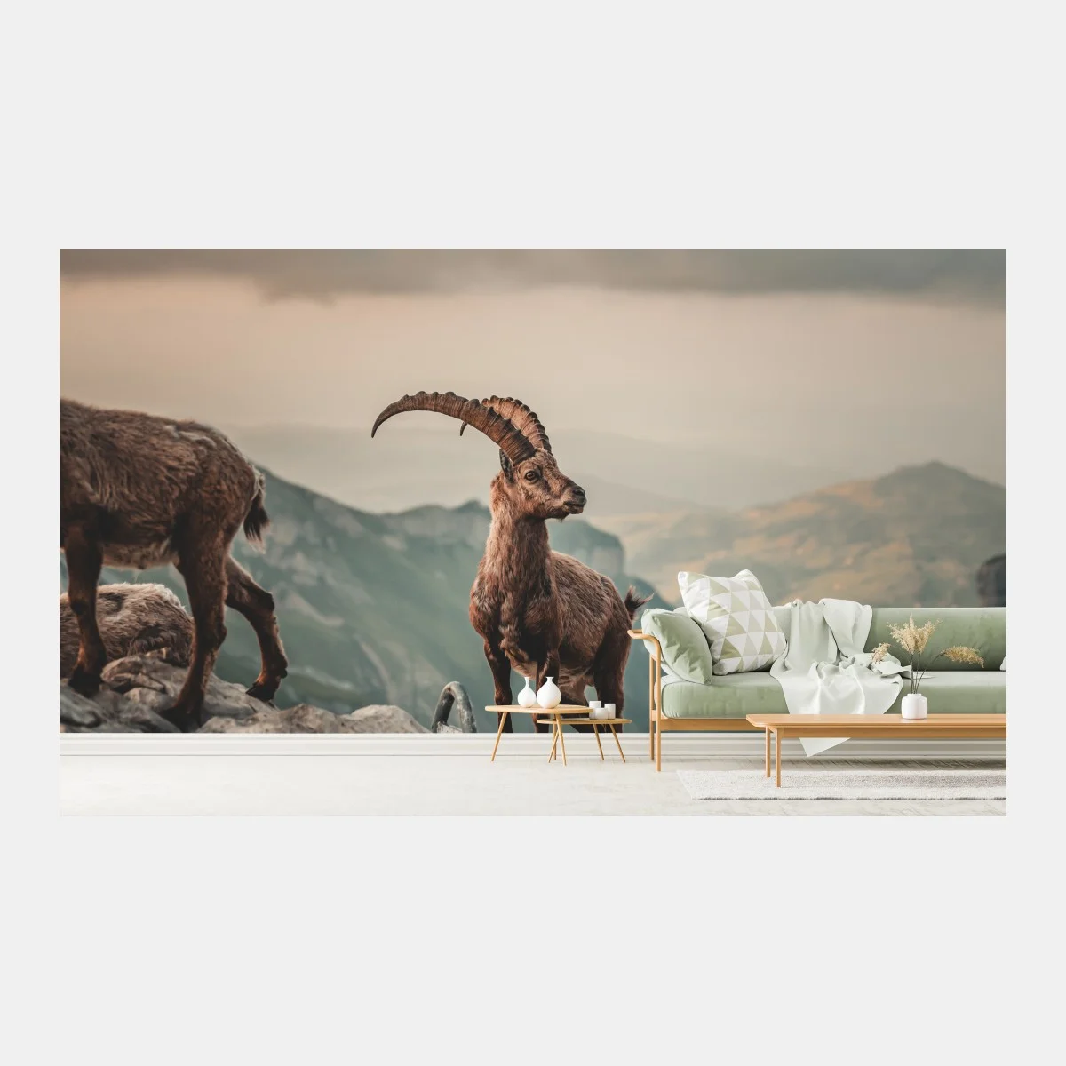 Fotomural cabra montés en la cumbre alpina – Pixers® Fotomural cabra montés en la cumbre alpina – Pixers®