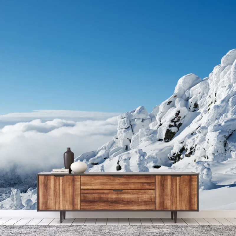Fotomural paisaje nevado en la cumbre