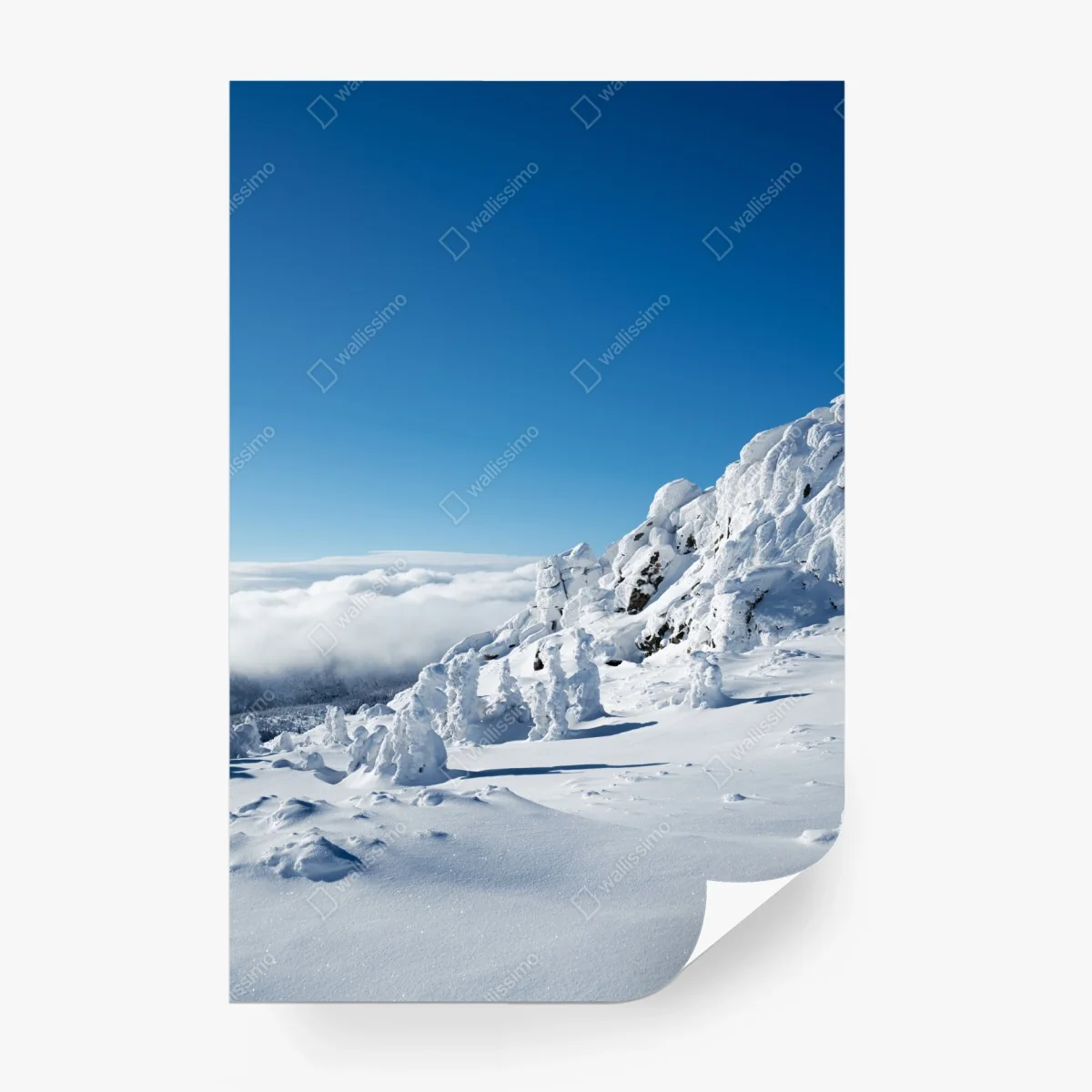Fotomural paisaje nevado en la cumbre – Pixers® Fotomural paisaje nevado en la cumbre – Pixers®
