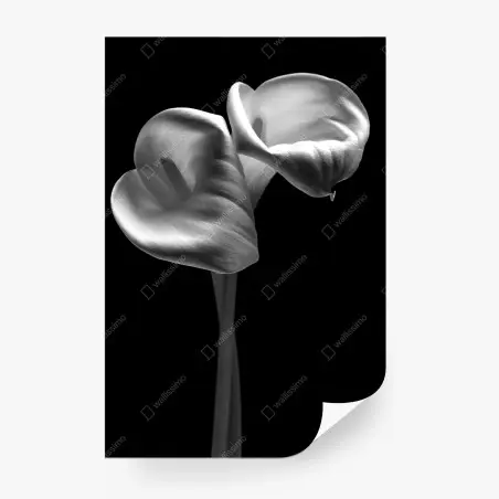 Fotomural elegancia de calas en blanco y negro – Pixers®