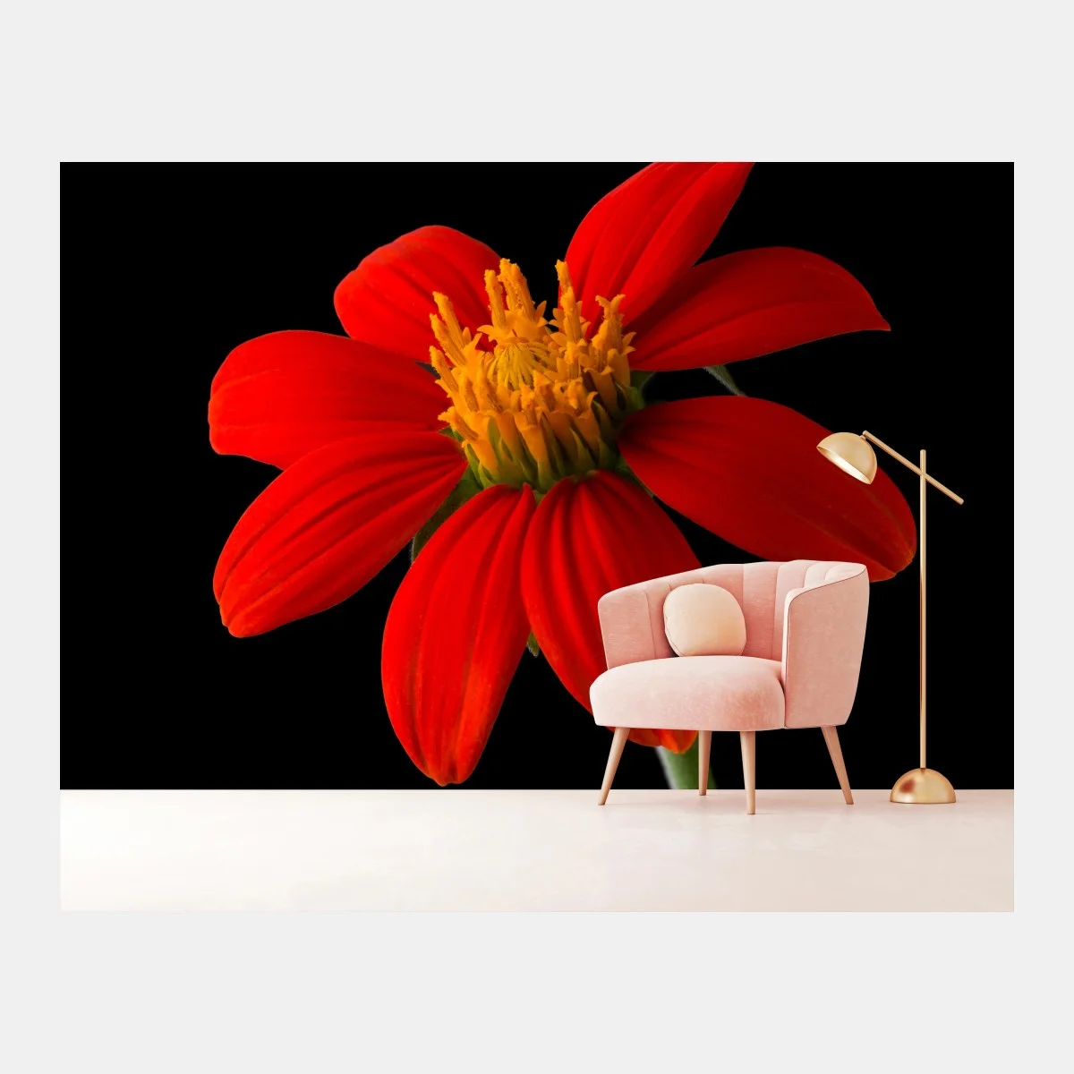 Fotomural girasol mexicano rojo sobre fondo negro – Pixers® Fotomural girasol mexicano rojo sobre fondo negro – Pixers®