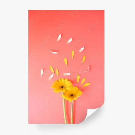 Fotomural gerberas amarillas sobre fondo coral minimalista – Pixers®