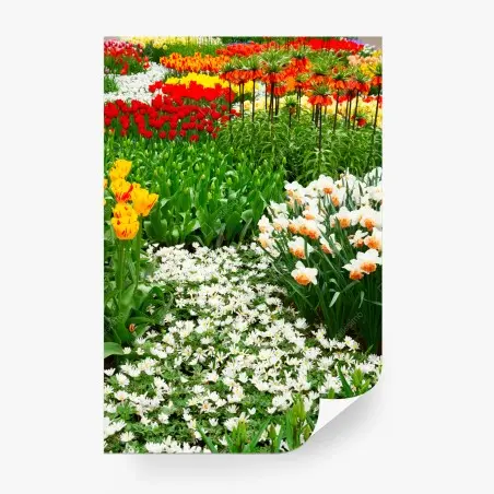 Fotomural explosión de color primaveral en el jardín – Pixers®