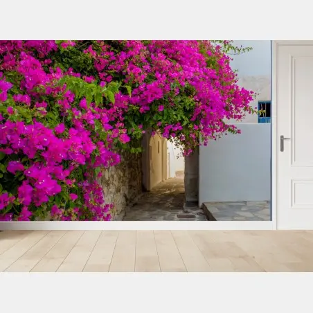 Fotomural callejón en Naousa, Paros con buganvillas fucsias – Pixers®