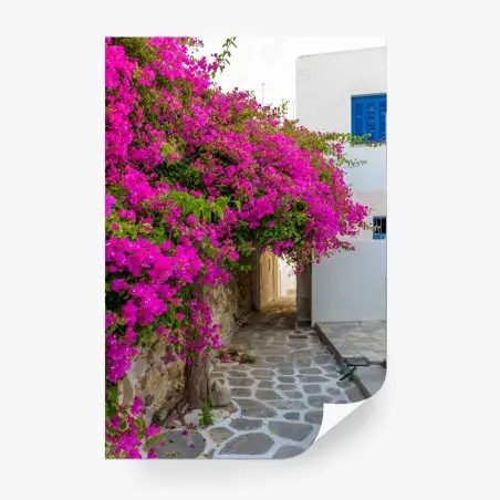 Fotomural callejón en Naousa, Paros con buganvillas fucsias – Pixers®