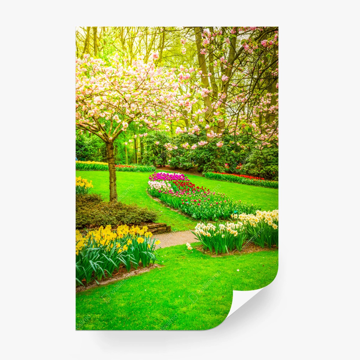 Fotomural jardín primaveral en flor – Pixers®