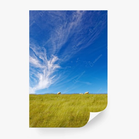 Fotomural pradera serena bajo un cielo azul – Pixers®