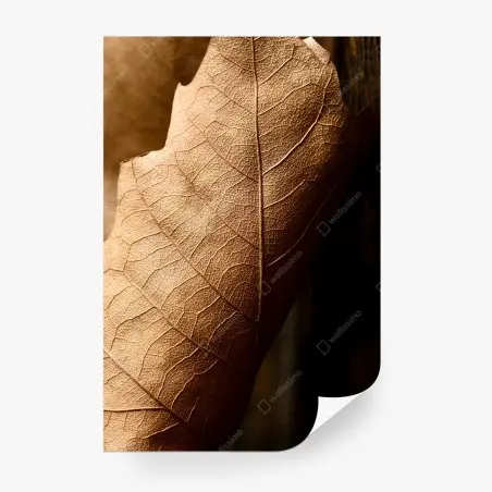 Fotomural textura de hoja seca en tonos sepia – Pixers®