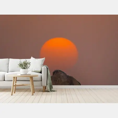Fotomural atardecer en el desierto con camello – Pixers®