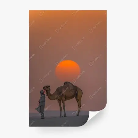 Fotomural atardecer en el desierto con camello – Pixers®