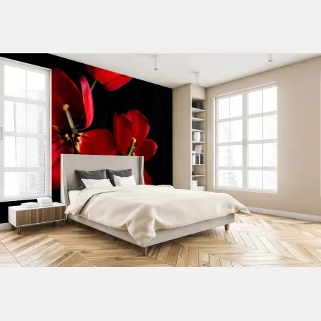 Fotomural arreglo de tulipanes rojos sobre fondo negro – Pixers®