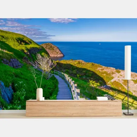 Fotomural sendero costero hacia el mar bajo cielo azul – Pixers®