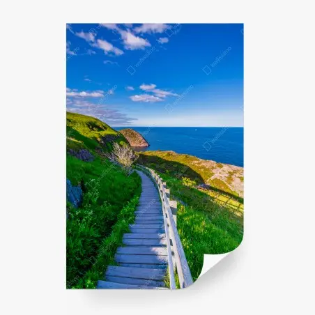 Fotomural sendero costero hacia el mar bajo cielo azul – Pixers®