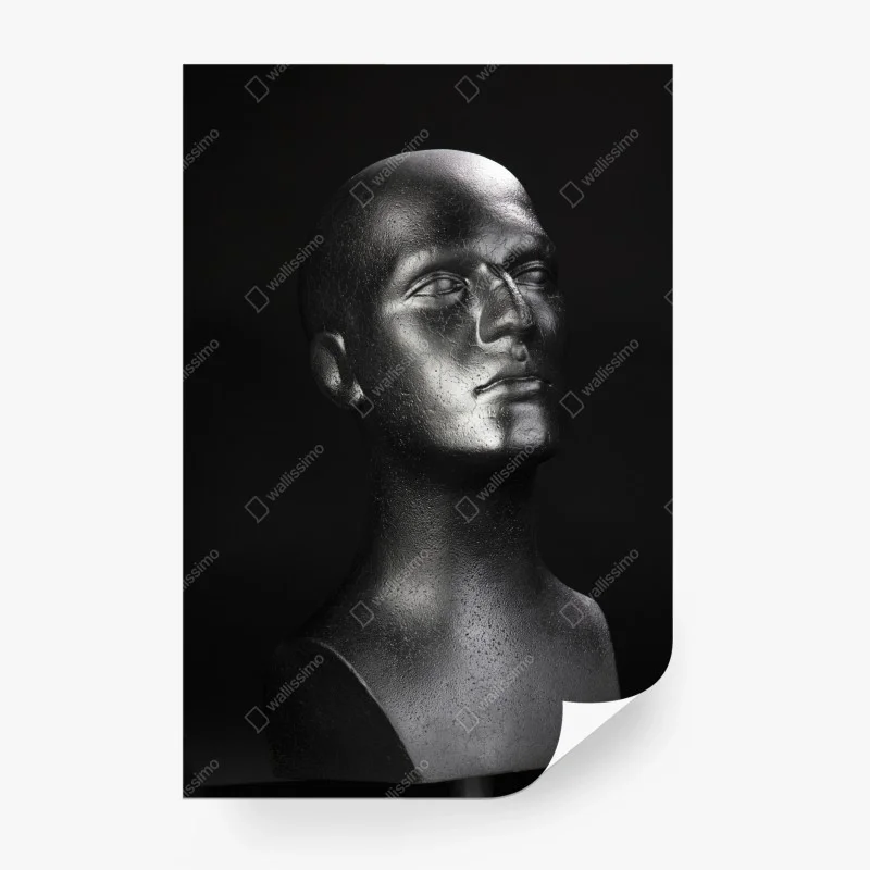 Fotomural busto metálico en alto contraste